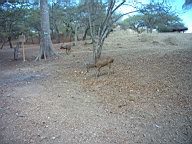 22551600.JPG