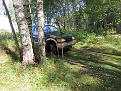 IMG_0289.JPG